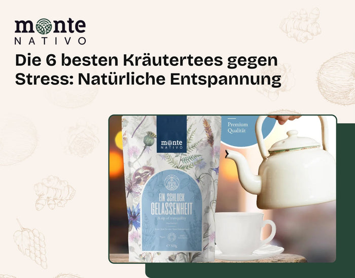 Die 6 besten Kräutertees gegen Stress: Natürliche Entspannung