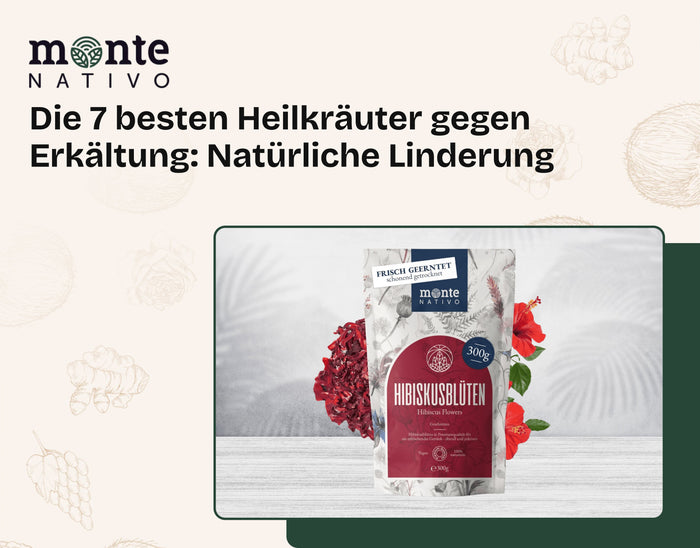 Die 7 besten Heilkräuter gegen Erkältung: Natürliche Linderung