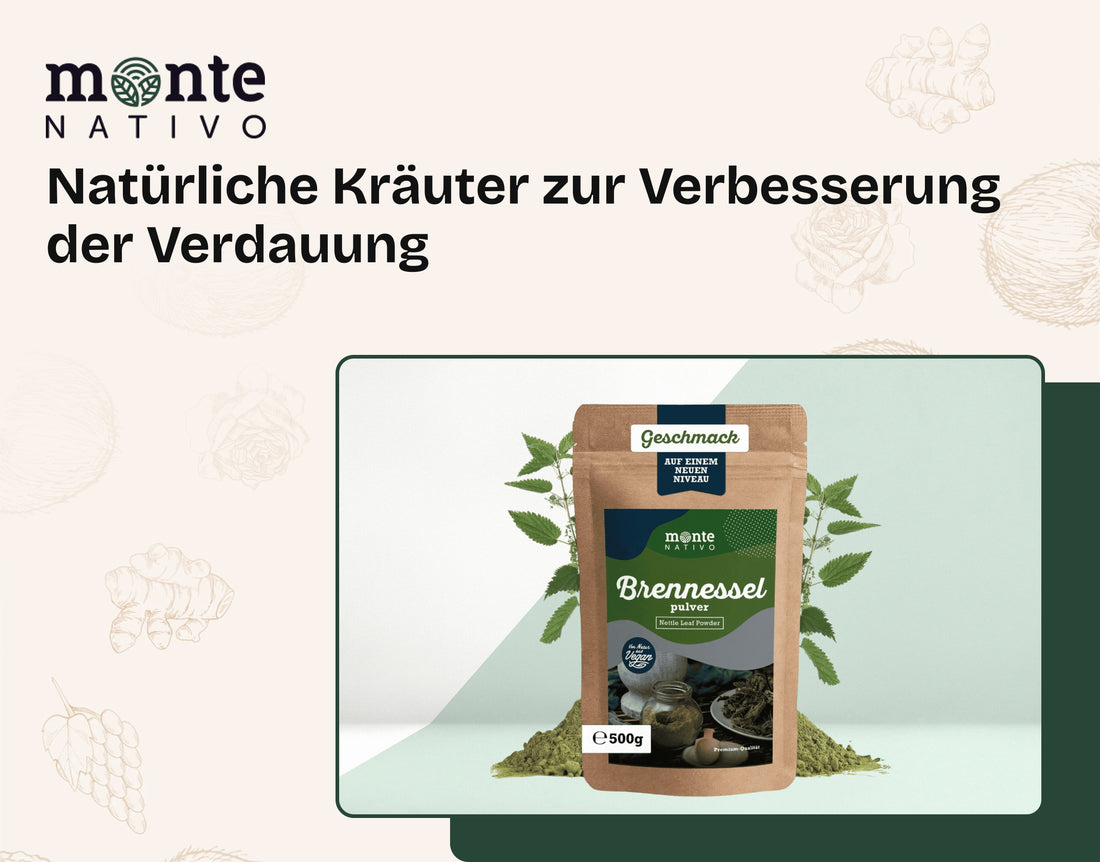 Natürliche Kräuter zur Verbesserung der Verdauung