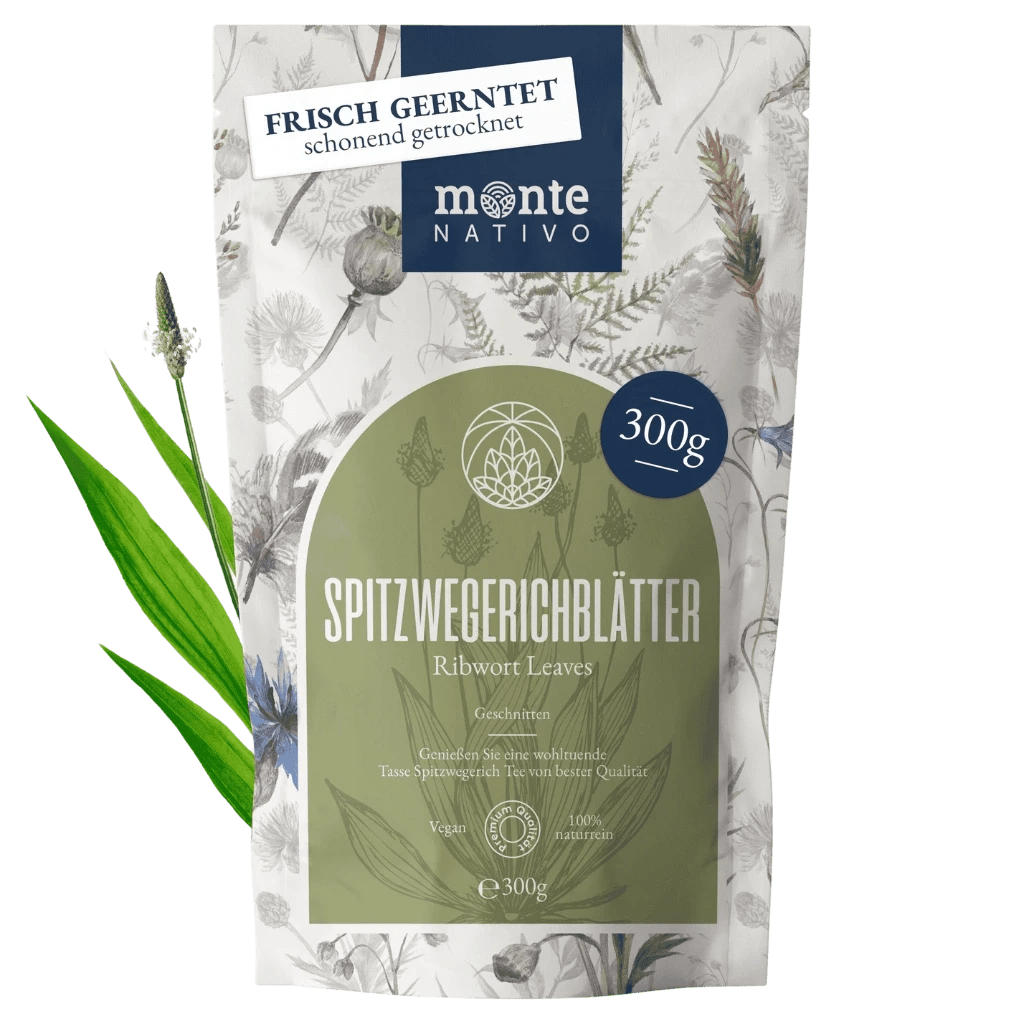Spitzwegerichblätter (300g)