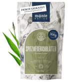 Spitzwegerichblätter (300g)