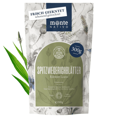 Spitzwegerichblätter (300g)