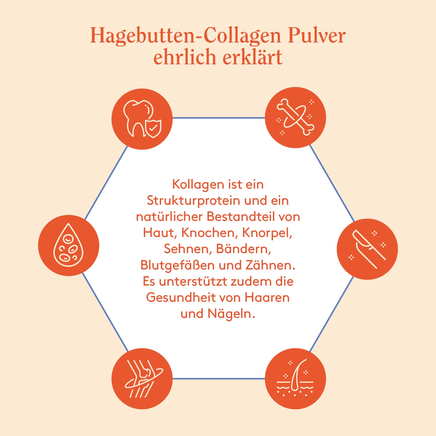 HC5 Hagebutten Collagen Pulver (500g)