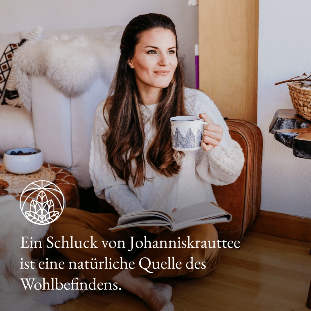 Johanniskraut (300g)