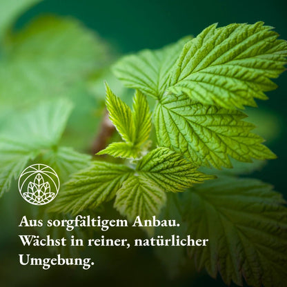 Himbeerblättertee (300g)